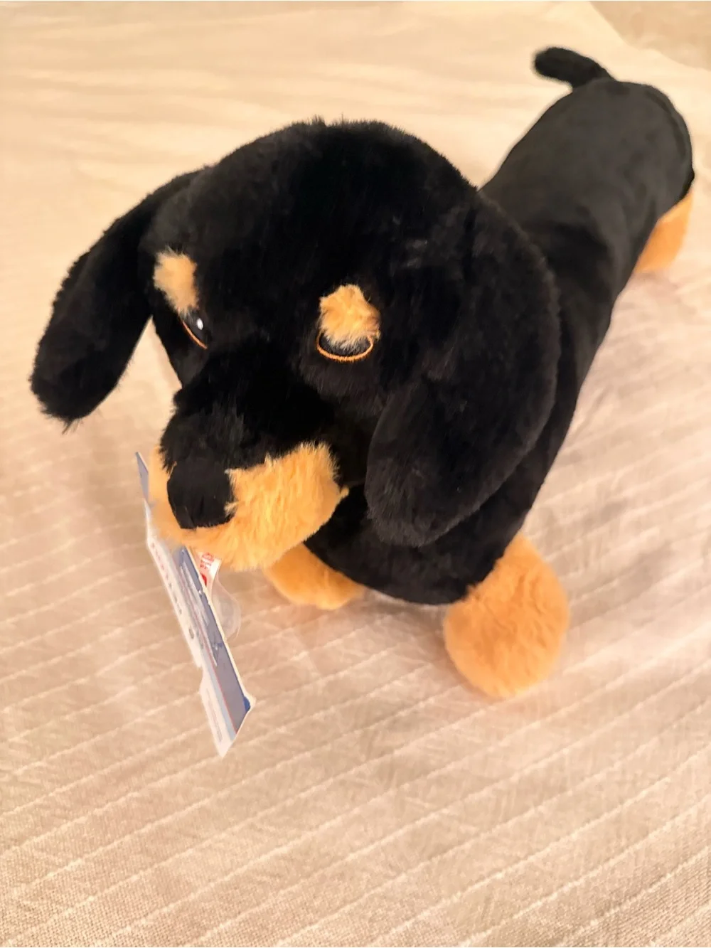 Plush Dachshund Dog Toy - Black and Tan - Soft Squeaky Comfort